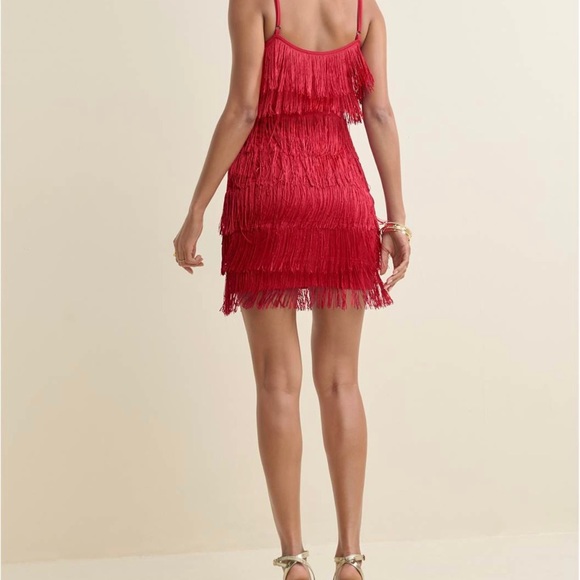 Tired Fringe mini Dress - Picture 5 of 7